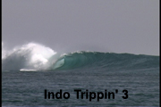 indotrippin1reeditedRg