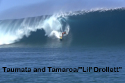 tandtTamaroa