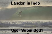User submbitted1A
